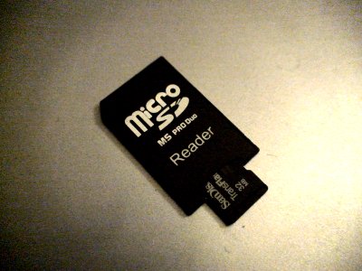 File:Micro SD - Memory Stick Pro Duo Adaptor.JPG - Wikimedia Commons